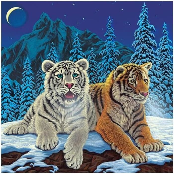 Kit Photo Strass, Kit De Broderie Bricolage Avec Peinture Au Diamant Bricolage En Argile, Avec