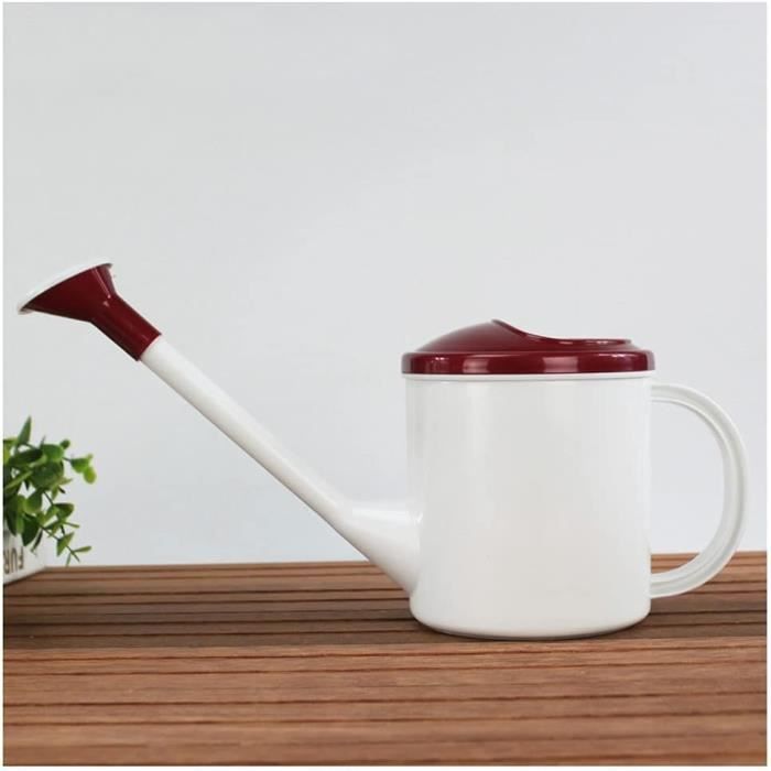 Arrosoir Métallique Galvanisé 5 Litres Avec Bec Long Et Buse D'arrosage - Pour Intérieur Et Extérieur - Design élégant Et Durable - 9