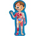 Puzzle du corps humain - HAPE - Anatomie éducative - 50 pièces - Affiche double face-1