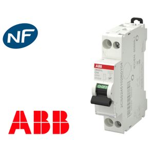 Disjoncteur Bipolaire 2P 10A - Courbe D - Pouvoir De Coupure 10kA - IMO B10D2010A - Pour Installation électrique