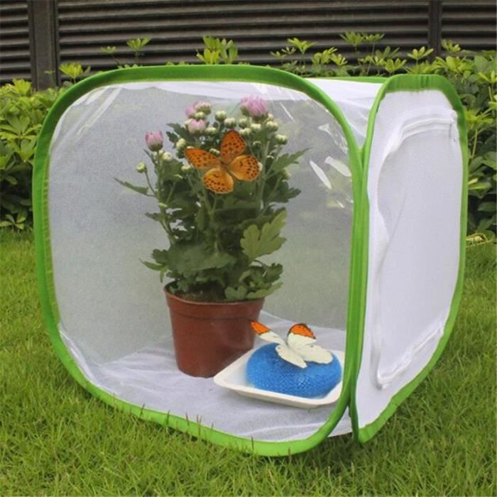 Cage Filet Papillon 40x40x60cm Habitat Maille pour Élevage d'Insectes Cage Filet Papillon 40x40x60cm Habitat Maille pour Élevage d'Insectes