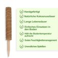 Lospitch 2x Tige de plantation Support Tuteurs pour Plantes Grimpantes Tuteur de Coco Bâton de Mousse de Coco 40cm-2