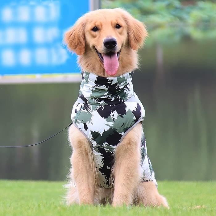 Vêtements pour chien petite taille 2025