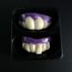 Fixateur De Prothese Dentaire Halloween Dentier Dents De Vampire Dents Zombie Avant Plastique Souple Croisillons De Dents Achat Vente Fixateur Prothese Dent Fixateur De Prothese Dentaire Cdiscount