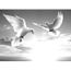 Téléchargement gratuit Images Papier Peint Photo Intisse 201519 Dove 300x223 Cm 6 Les Mural le plus cool salutations