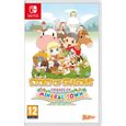 Story of Seasons - Friends of Mineral Town-0