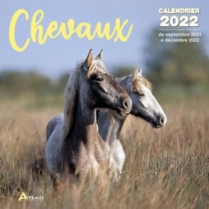 Calendrier De L'avent 2022 Chevaux