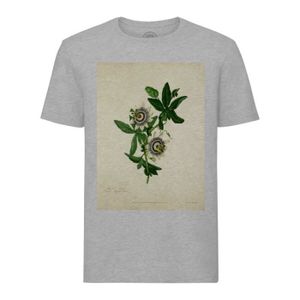 T-SHIRT T-shirt Homme Col Rond Gris Passiflora caerulea Planche Illustration Botanique Ancienne Fleur Exotique