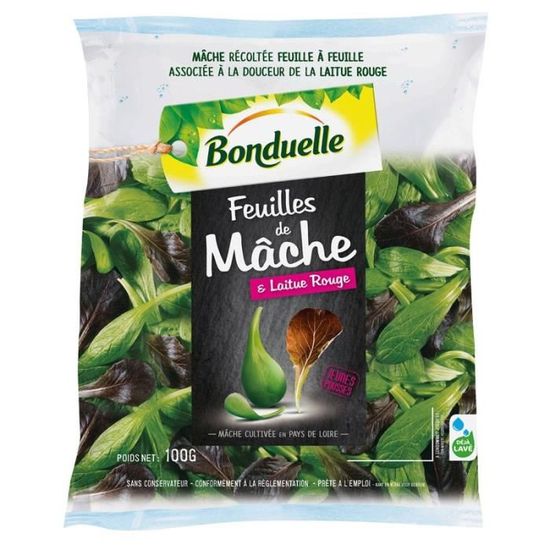 Bonduelle Feuille De Mache Et Laitue Rouge 100g Achat Vente Salade Feuille De Mache Et Laitue Cdiscount