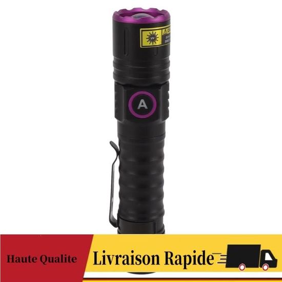 Lampe Lumière Noire Lampe Torche UV 20W 365nm - Détection Urine Animaux, Résine, Minéraux - 5000mAh USB Lampe De Wood