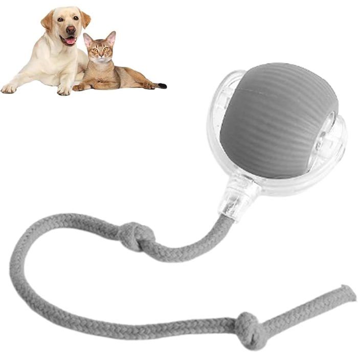 Meilleurs prix pour Balle Interactive Automatique Rouge - Jouet Intelligent 360° à Roulement Aléatoire pour lÉveil des Chats et Chiens JOUET