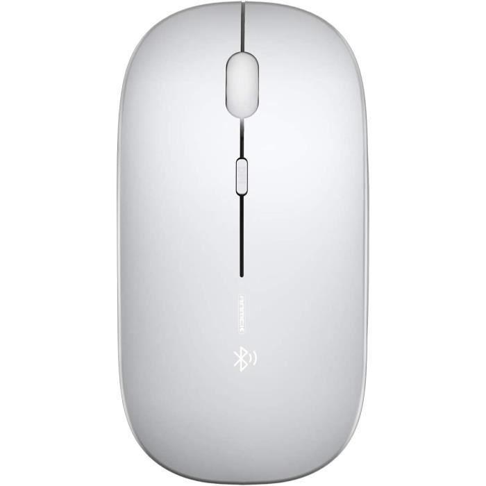 Souris sans fil Bluetooth USB rechargeable RGB Souris BT5.2 pour ordinateur  portable PC Macbook Gaming Mouse 2.4GHz 1600dpi - Noir - Cdiscount  Informatique