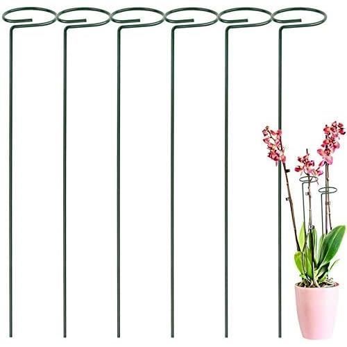Lot de 10 tuteurs pour plantes et légumes - Bambou - Hauteur 90 cm Lot de 10 tuteurs pour plantes et légumes - Bambou - Hauteur 90 cm