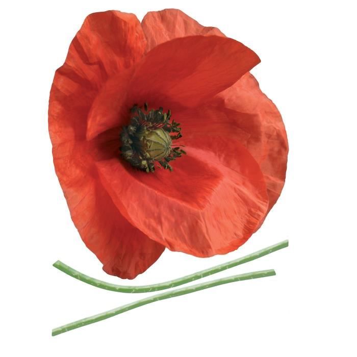 Sticker Déco Pour Abattant WC Coquelicot - 35x42 Cm - Art Déco Stickers - Neuf