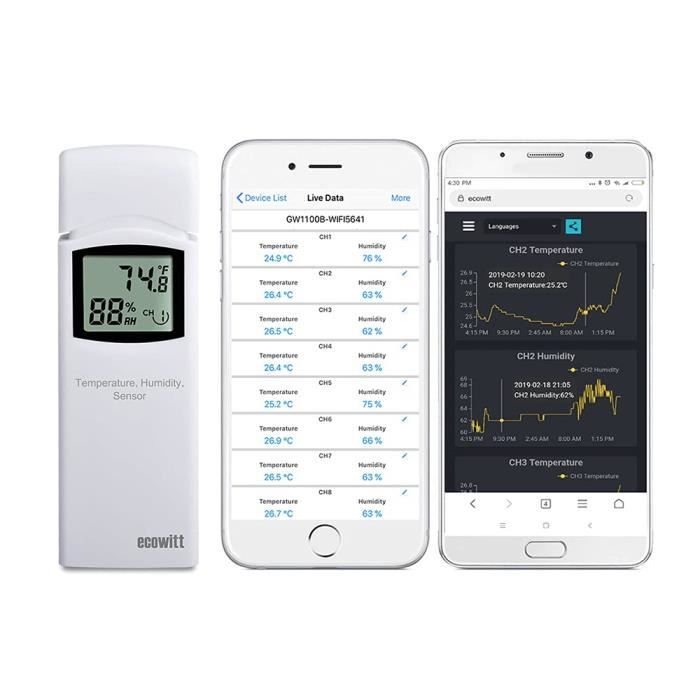 Thermomètre De Piscine Sans Fil ECOWITT - Capteur Flottant IP68