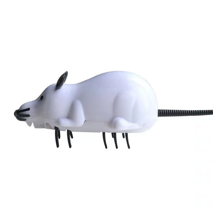 Souris Mecanique Chat Cdiscount