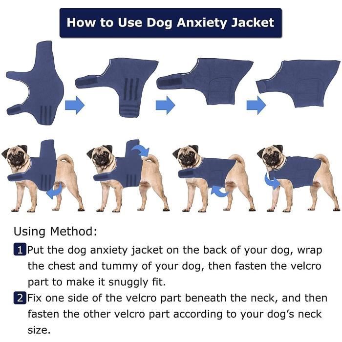 Gilet anti outlet anxiete pour chien