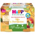 Hipp Bio Mes Premiers Fruits Pot Diversification Pommes Poires Bananes Pêches Pommes Raisins +4m 4 x 125g-0
