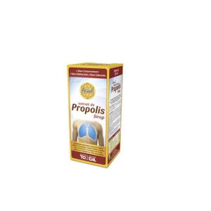 COMPLEMENTS ALIMENTAIRES - VITALITE Sirop propolis 250ml api nature