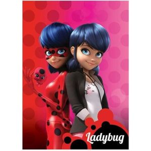 Miraculous Ladybug Decorations Cdiscount