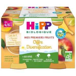 USTENSILES BÉBÉ Hipp Bio Mes Premiers Fruits Pot Diversification Pommes Poires Bananes Pêches Pommes Raisins +4m 4 x 125g
