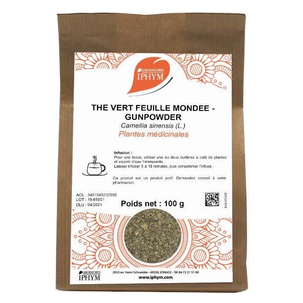 Plante pour tisane. Thé Vert (nom latin: Camellia sinensis L.).