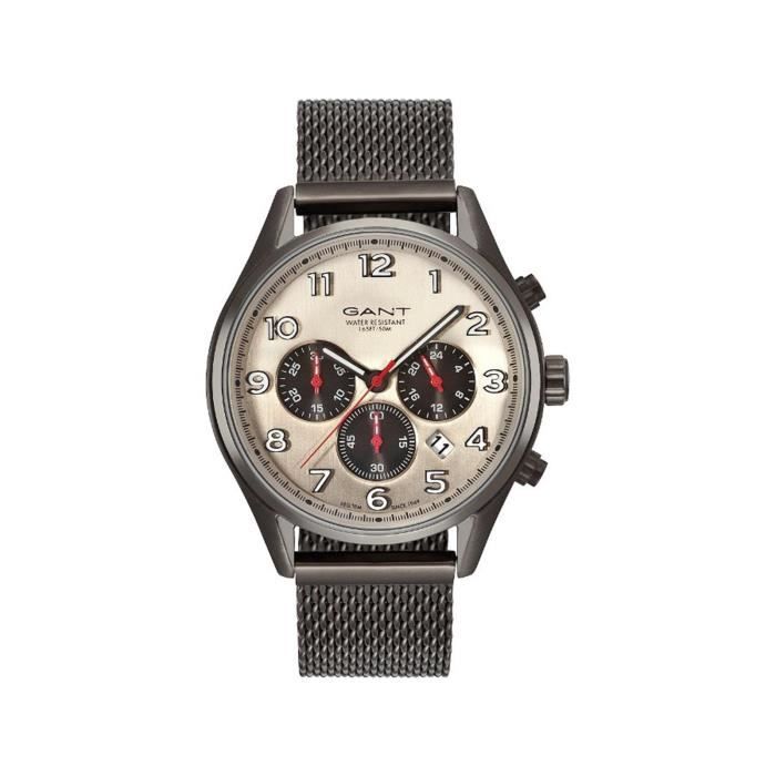 Gant Montre Homme GT009004