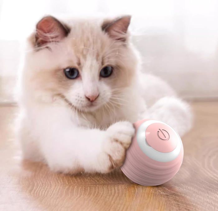 Comparer les prix de Balle interactive pour chat avec lumire LED jouet pour chaton roulement automatique balle intelligente couleurs multiples Largeight