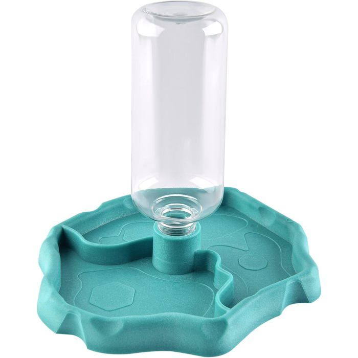 Distributeur eau/nourriture reptile 2-en-1 anti-débordement plastique pour tortue/gecko bleu