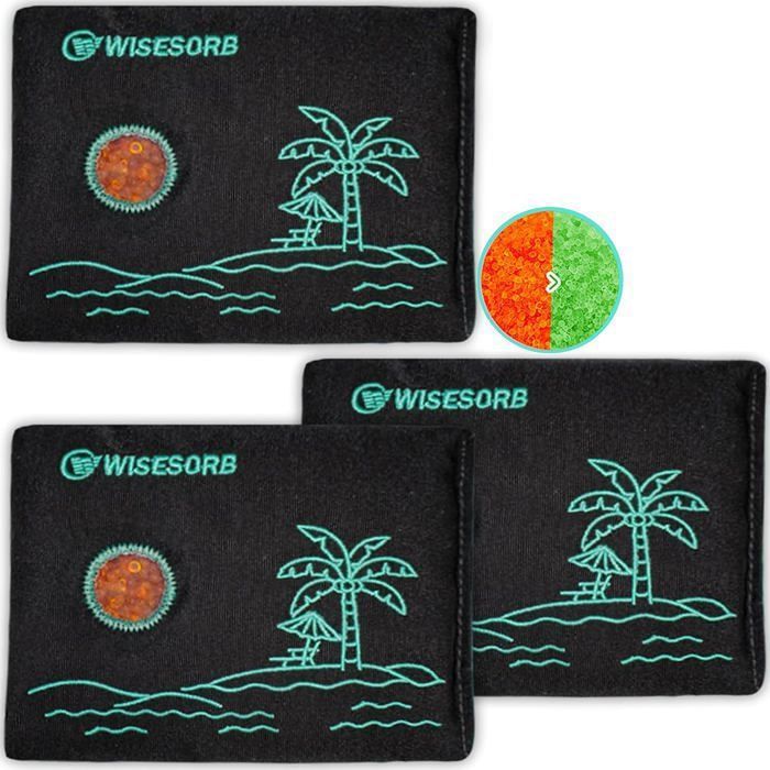 WiseSorb Absorbeur dhumidité rechargeable 3 × 200 g – Sachets déshydratants gel de silice avec indicateur voiture garage placard