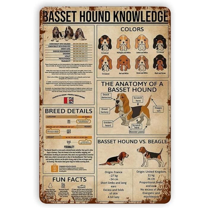 Plaque de maison Basset Hound personnalisée avec votre texte et numéro