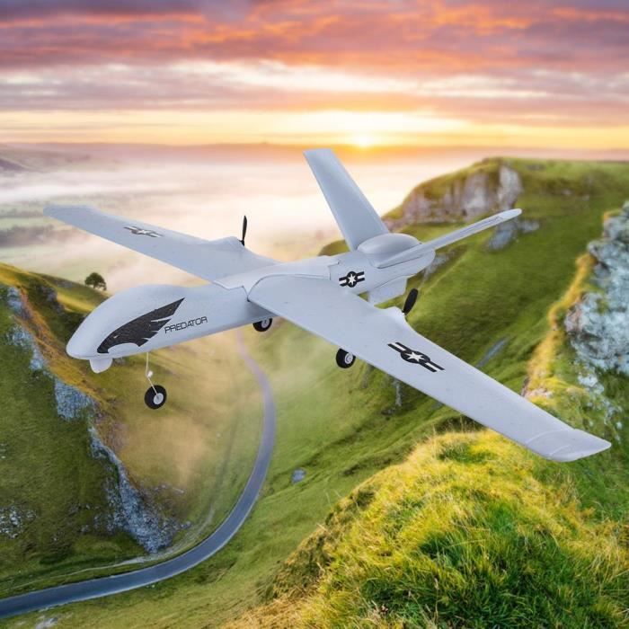 RC Avion RTF Z51 Predator 660 mm envergure 2.4 G 2CH PPE À faire soi-même Planeur avec Gyro RC Avion RTF Z51 Predator 660 mm envergure 2.4 G 2CH PPE À faire soi-même Planeur avec Gyro