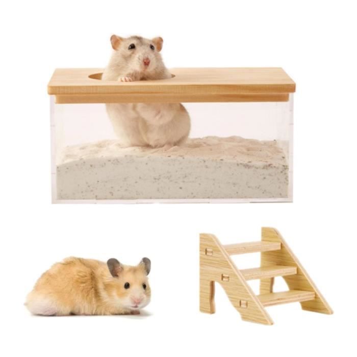 Conteneur de bain de sable pour hamster avec échelle en acrylique transparent pour salle de bain