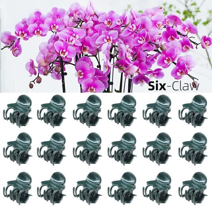 Lot De 100 Pinces De Support Vertes Pour Plantes - 1.5cm, Pour Orchidées, Vignes, Légumes Au Jardin