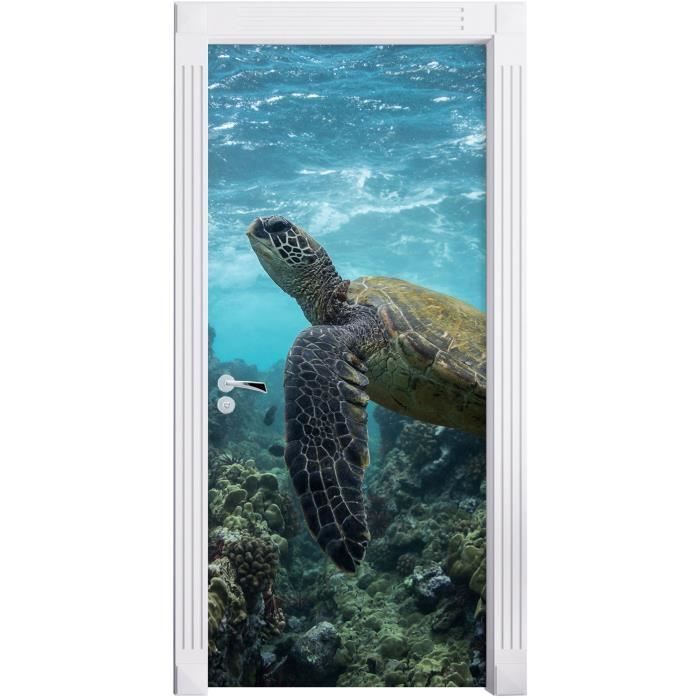 Tortue Dans Le Pacifique Comme Fond D Ecran De La Porte De La Taille 0x90cm Cadre De Porte Porte Autocollants Decoration D Cdiscount Maison Tortue Dans Le Pacifique Comme Fond D Ecran De La Porte De La Taille 0x90cm Cadre De Porte Porte Autocollants Decoration D Cdiscount Maison