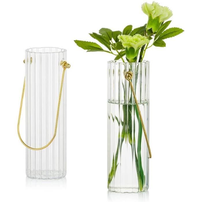 Vase en Verre Transparent Portable pour Fleurs, 2 Pièces Vase à Bourgeon  Rayé Grand Pot De Plante pour Plantes Hydroponiques p[666] - Cdiscount  Maison