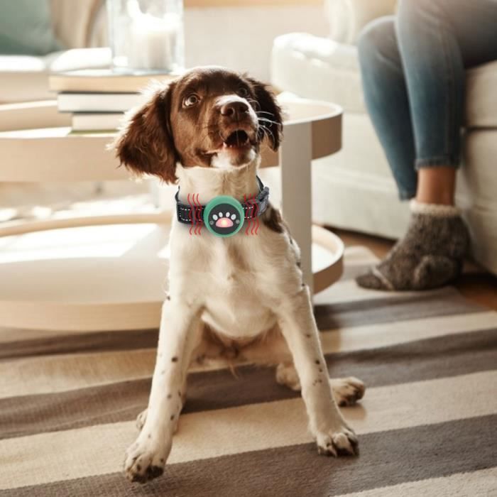 Meilleurs prix pour Omabeta Collier Pour Chien Collier De Dressage Intelligent Anti-Aboiement Pour Chien, Vert Armée (Choc Électrostatique)