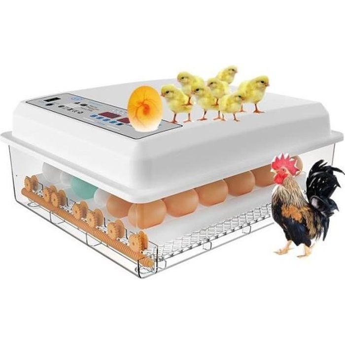 Meilleurs prix pour Couveuse Oeuf Automatique 20 Oeufs, Incubateur Oeuf Automatique, Automatische Contrôle de la Température, Retournement A7