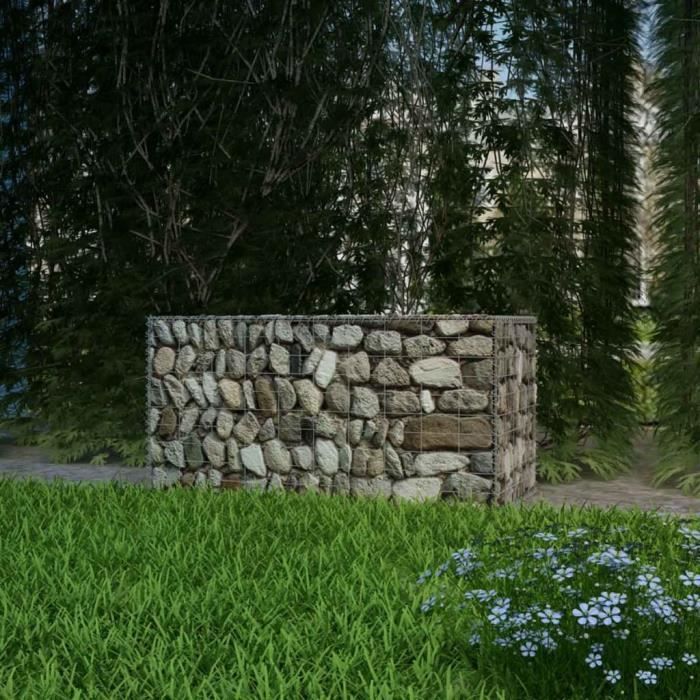 Festnight Gabion 100 X 50 X 50 Cm Decoration De Jardin Achat Vente Pierre Gabion Pierre Festnight Gabion 100 X 50 X Cdiscount