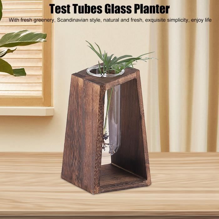 Vase en verre hydroponique, Terrarium Portable et ... - Grandado