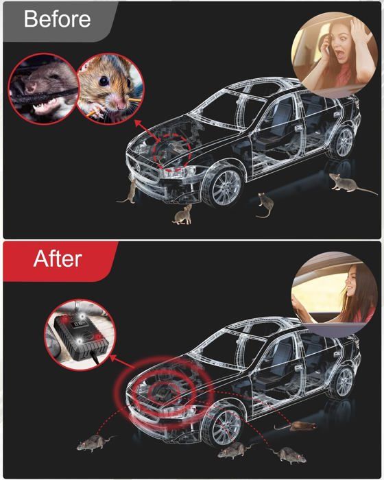 Répulsif Anti Martre, Repulsif Ultrason Anti Rongeur pour Voiture Haute — free download