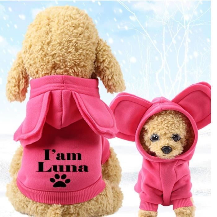 Sweat pour chien on sale personnalisable