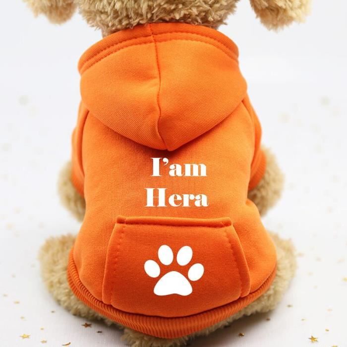 Sweat pour sales chien personnalisable