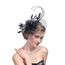 Femme Coiffure Mariage Filet Epingle A Cheveux Fascinator Cocktail