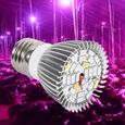 LED Lampe d'ampoule spectre complet élèvent pour l'usine hydroponique d'intérieur de fleur E27  BOH-0
