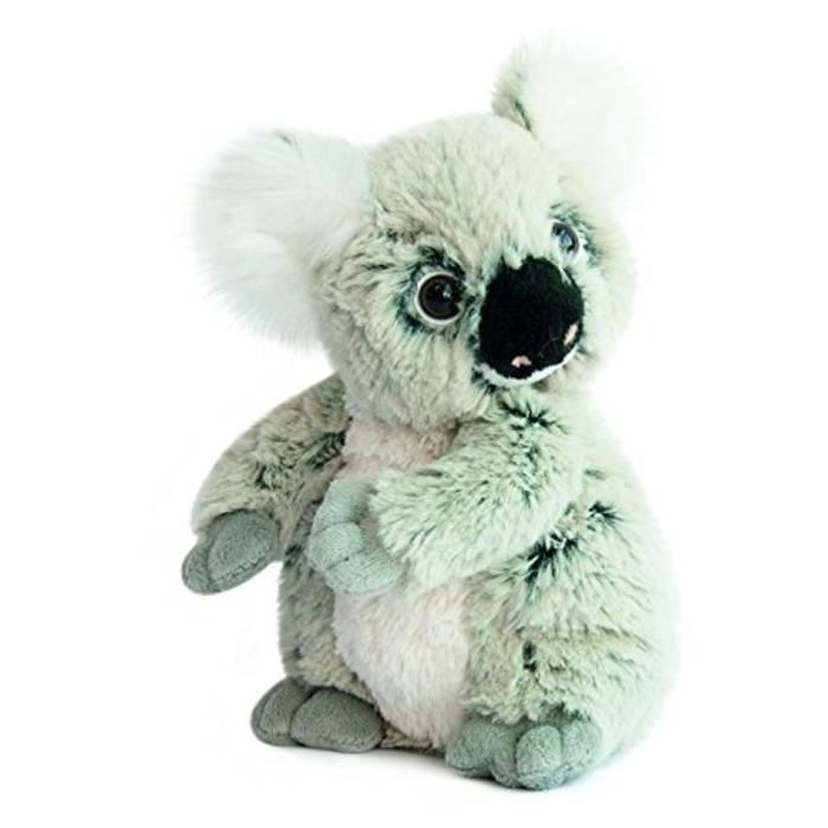 doudou koala