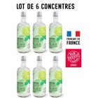 MY SODA MYSODA - Lot de 6 Concentrés saveur Mojito 685ml
