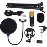 BM800 Kit de microphone à condensateur  microphone + support + cadre de choc
