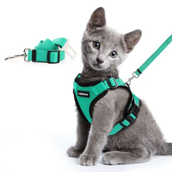 Harnais Chat Chaton Petit Chien Harnais Reglable Pour Chat Anti Traction Avec Laisse Aux Double Usages A La Voiture Vert Xs Cdiscount