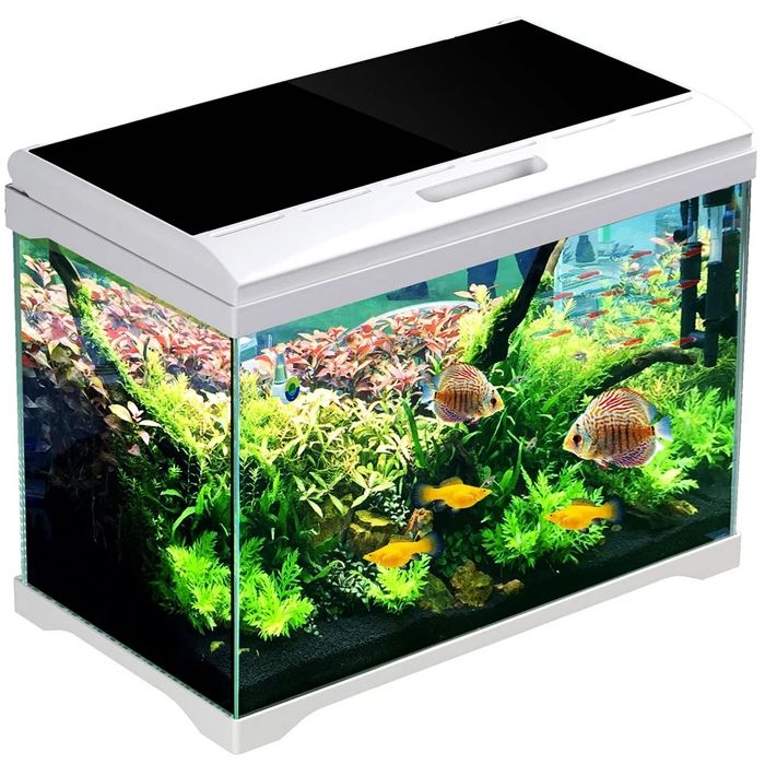 Ensemble pour aquarium SunSun Supreme AquaPlant 19 l